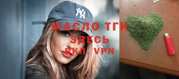 индика Бородино
