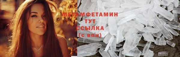 индика Бородино