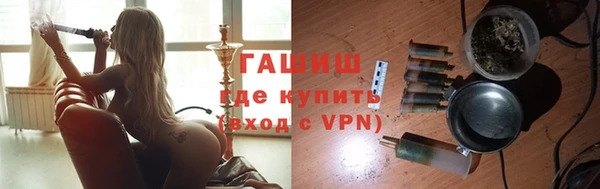 индика Бородино