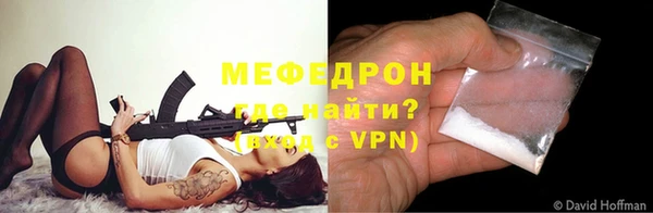 индика Бородино