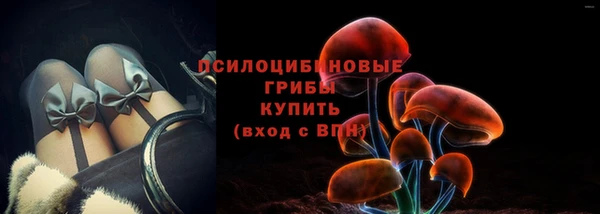 индика Бородино