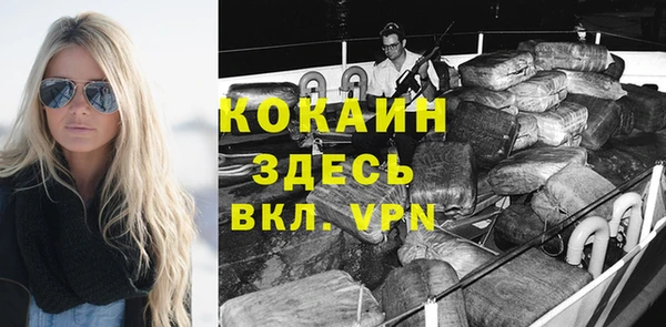 индика Бородино