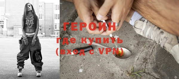 индика Бородино