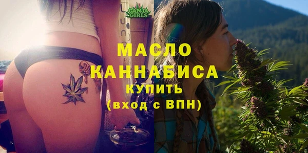 индика Бородино