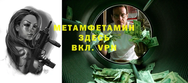 индика Бородино