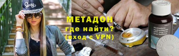 индика Бородино